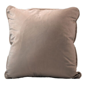 Cashmere Velvet Pillow