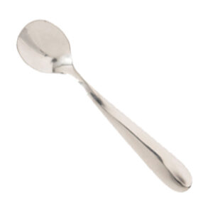 Salt and Spice Stainless Spoon